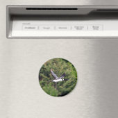 Loon Magnet (Insitu (Vaatwasser))