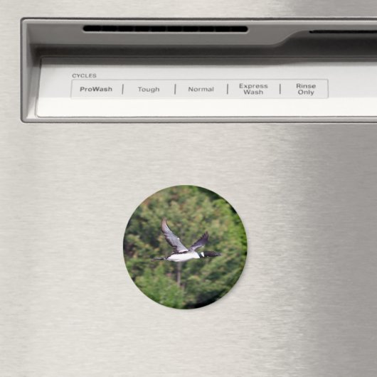 Loon Magnet (Insitu (Vaatwasser))