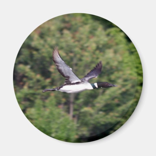 Loon Magnet (Voorkant)