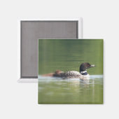 Loon met chick Magnet (Voorkant / Achterkant)