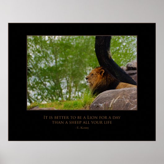 Loon op de montage poster (Voorkant)