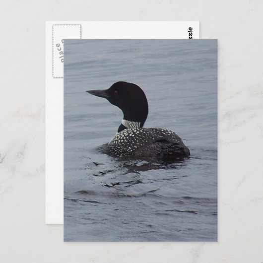 Loon op het meer van Pushaw Briefkaart (Voorkant / Achterkant)