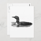 Loon op Lake Briefkaart (Voorkant / Achterkant)