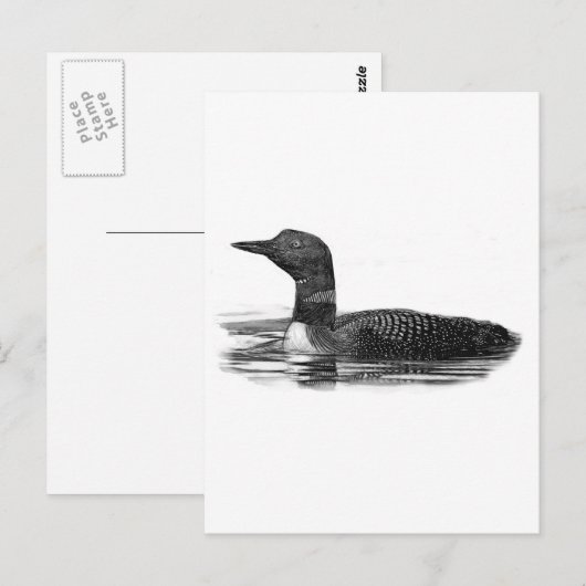Loon op Lake Briefkaart (Voorkant / Achterkant)