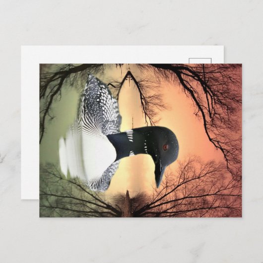 Loon Reflections Briefkaart (Voorkant / Achterkant)