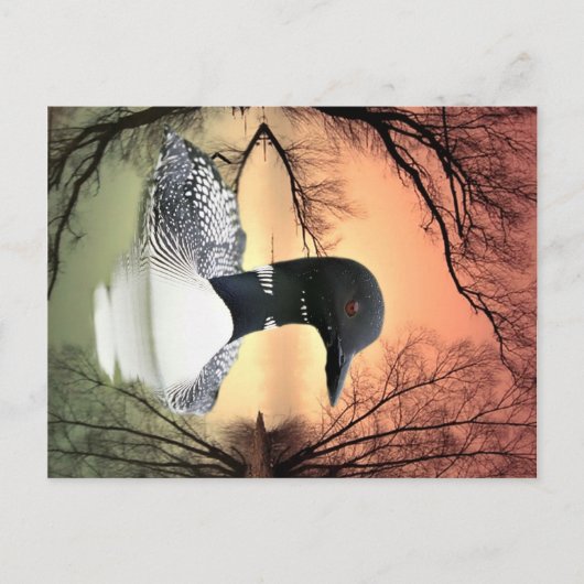 Loon Reflections Briefkaart (Voorkant)