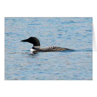 Loon Silhouette