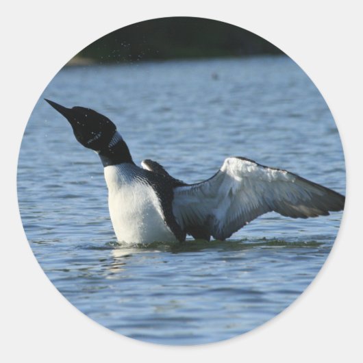 Loon stickers (Voorkant)