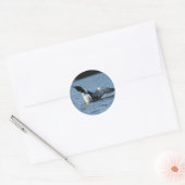 Loon stickers (Envelop)