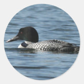 Loon Stickers (Voorkant)