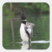 Loon Stickers (Voorkant)