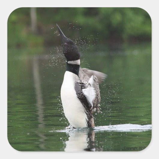 Loon Stickers (Voorkant)