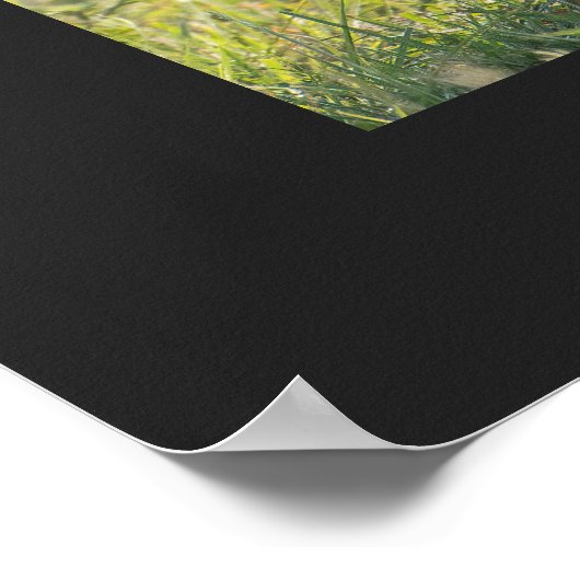 Loon-werkbalk in natuurlijke instellingen Personal Poster (Hoek)