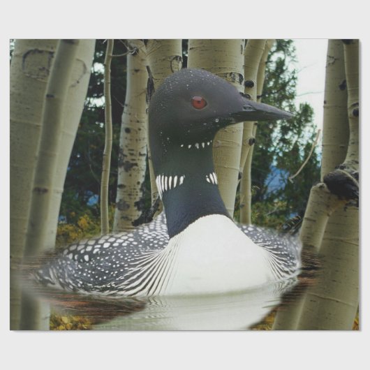 Loon Wilderness Cadeaupapier (Vlak)