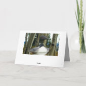 Loon Wilderness Kaart (Achterkant)