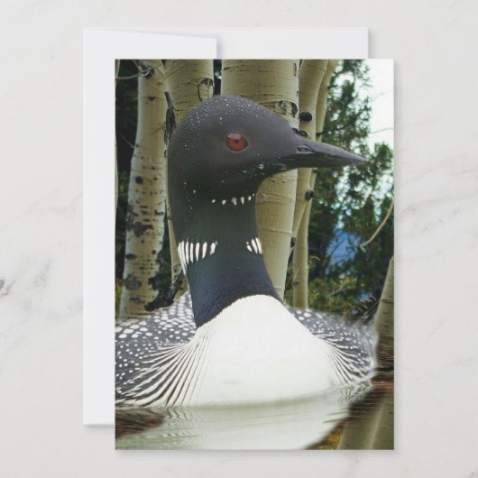 Loon Wilderness Kaart (Voorkant)