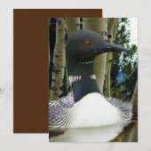Loon Wilderness Kaart (Voorkant / Achterkant)