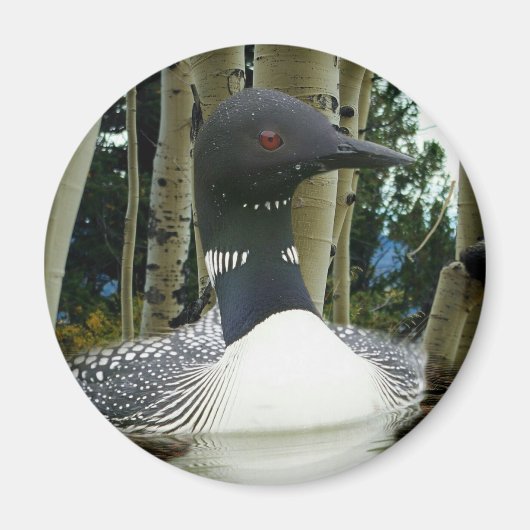 Loon Wilderness Magneet (Voorkant)