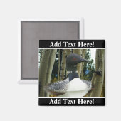 Loon Wilderness Magneet (Voorkant / Achterkant)