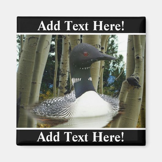 Loon Wilderness Magneet (Voorkant)