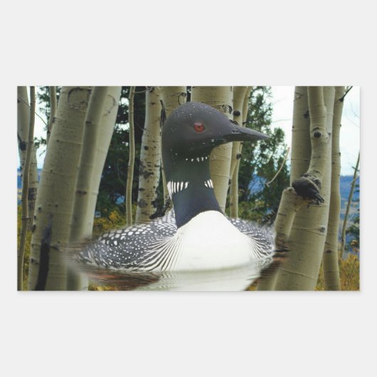 Loon Wilderness Rechthoekige Sticker (Voorkant)