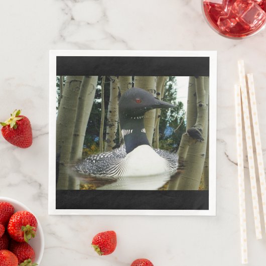 Loon Wilderness Servet (Insitu)