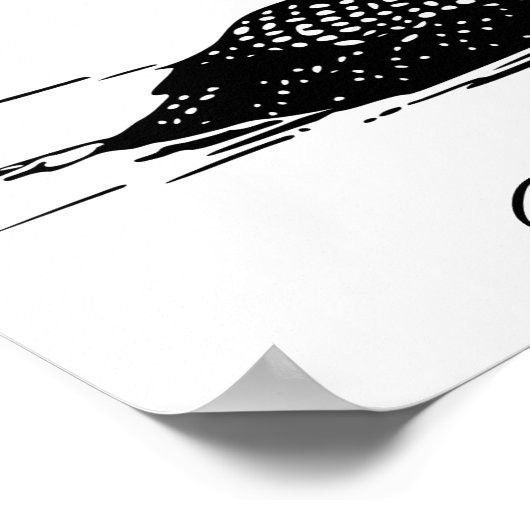 Loon-zwemvogels Art Thunder_Cove Poster (Hoek)