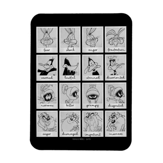 LOONEY TUNES™ Character Emotion Chart Magneet (Verticaal)