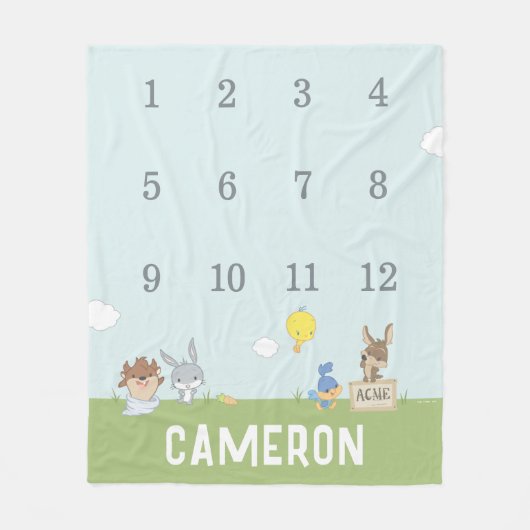 LOONEY TUNES™ | Maandelijkse mijlpaal Baby Fleece Deken (Voorkant)