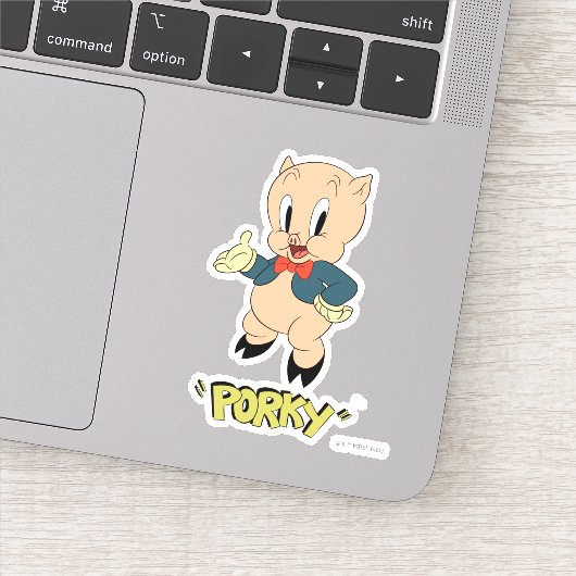 LOONEY TUNES™ Retro Laughs | Porky Pig Sticker (Detail)