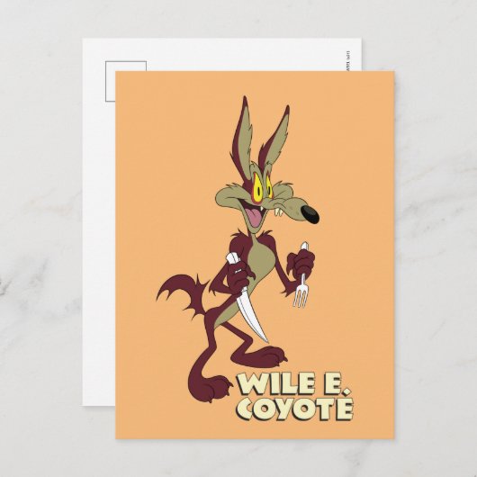 LOONEY TUNES™ Retro Laughs | WILE E. COYOTE™ Briefkaart (Voorkant / Achterkant)