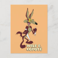 LOONEY TUNES™ Retro Laughs | WILE E. COYOTE™