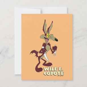LOONEY TUNES™ Retro Laughs   WILE E. COYOTE™ Notitiekaartje