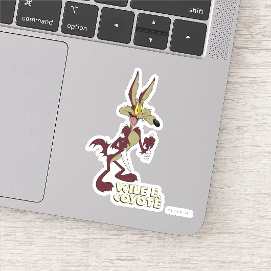 LOONEY TUNES™ Retro Laughs | WILE E. COYOTE™ Sticker (Detail)
