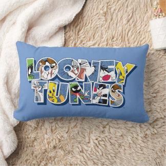 LOONEY TUNES™-tekens in letters Kussen