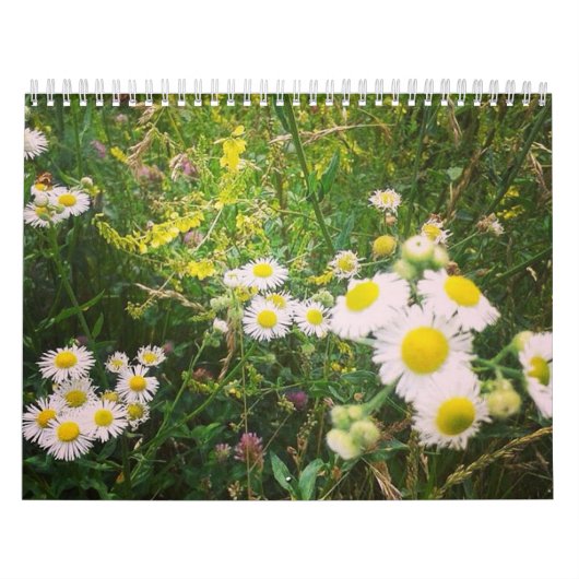 Loonkalender voor landen kalender (Hoes)