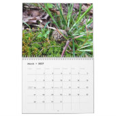 Loonkalender voor landen kalender (Mar 2027)