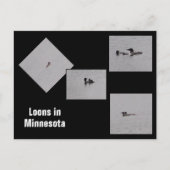 Loons in Minnesota Briefkaart (Voorkant)