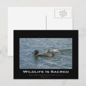 Loons Inspirerend geschenken Briefkaart (Voorkant / Achterkant)