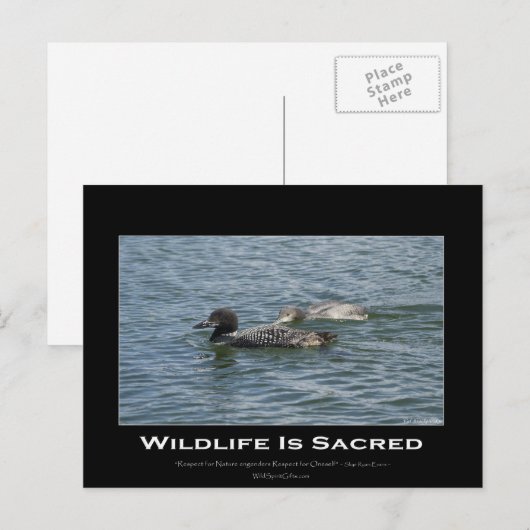 Loons Inspirerend geschenken Briefkaart (Voorkant / Achterkant)