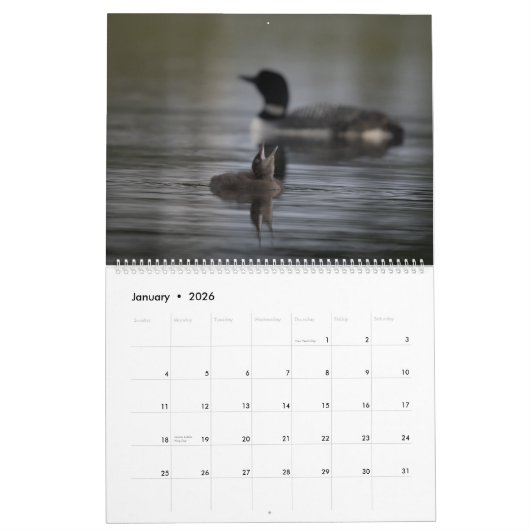 Loons & Loonlets (baby loons) Kalender (Jan 2026)