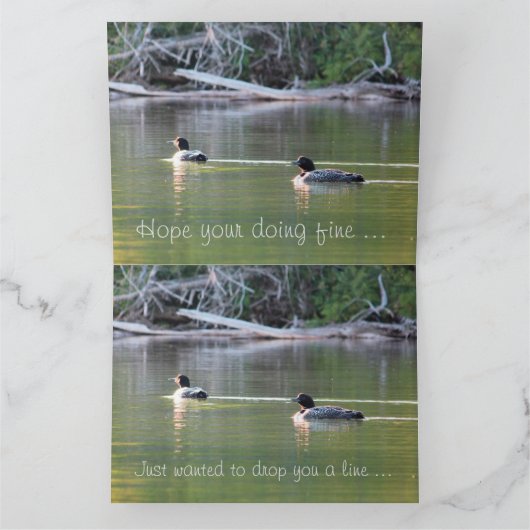 Loons op het water kaart (Binnen)