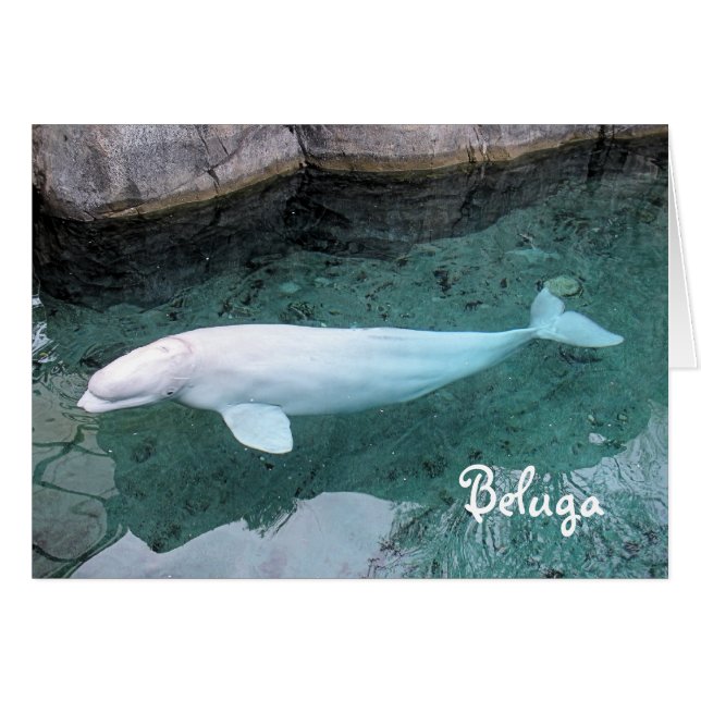 Loop aan de Wilde Kant (Voorkant Horizontaal)