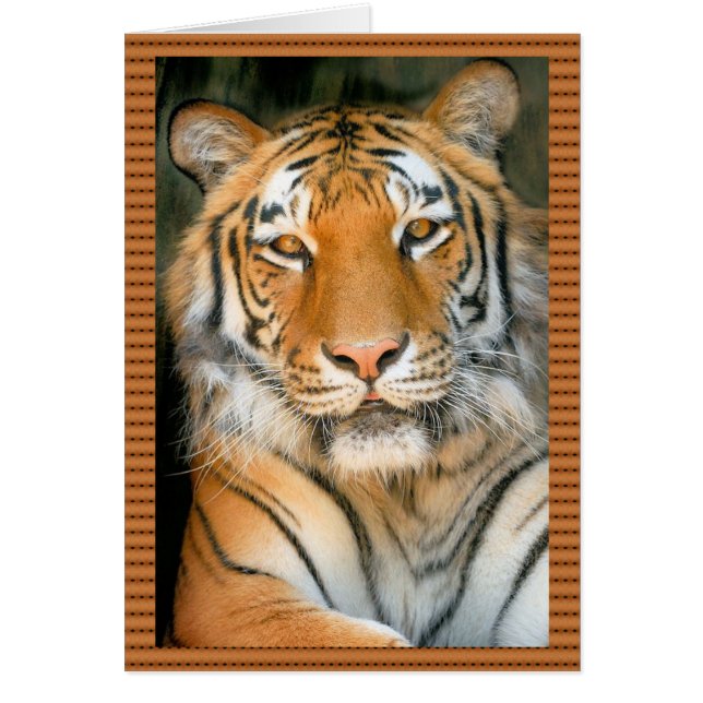 Loop aan de wilde kant - Tiger (Voorkant)