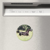 Loop als de wind magneet (Insitu (Vaatwasser))