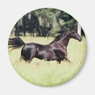 Loop als de wind magneet