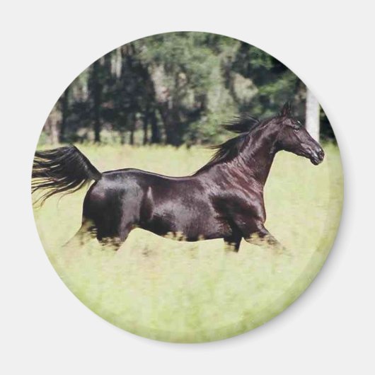 Loop als de wind magneet (Voorkant)