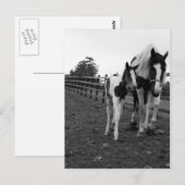 loop door de hek briefkaart (Voorkant / Achterkant)