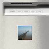 Loop een mistige oceaan in magneet (Insitu (Vaatwasser))