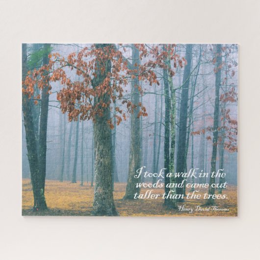 Loop in de Bossen - 16x20 - 520 pcs. Legpuzzel (Horizontaal)